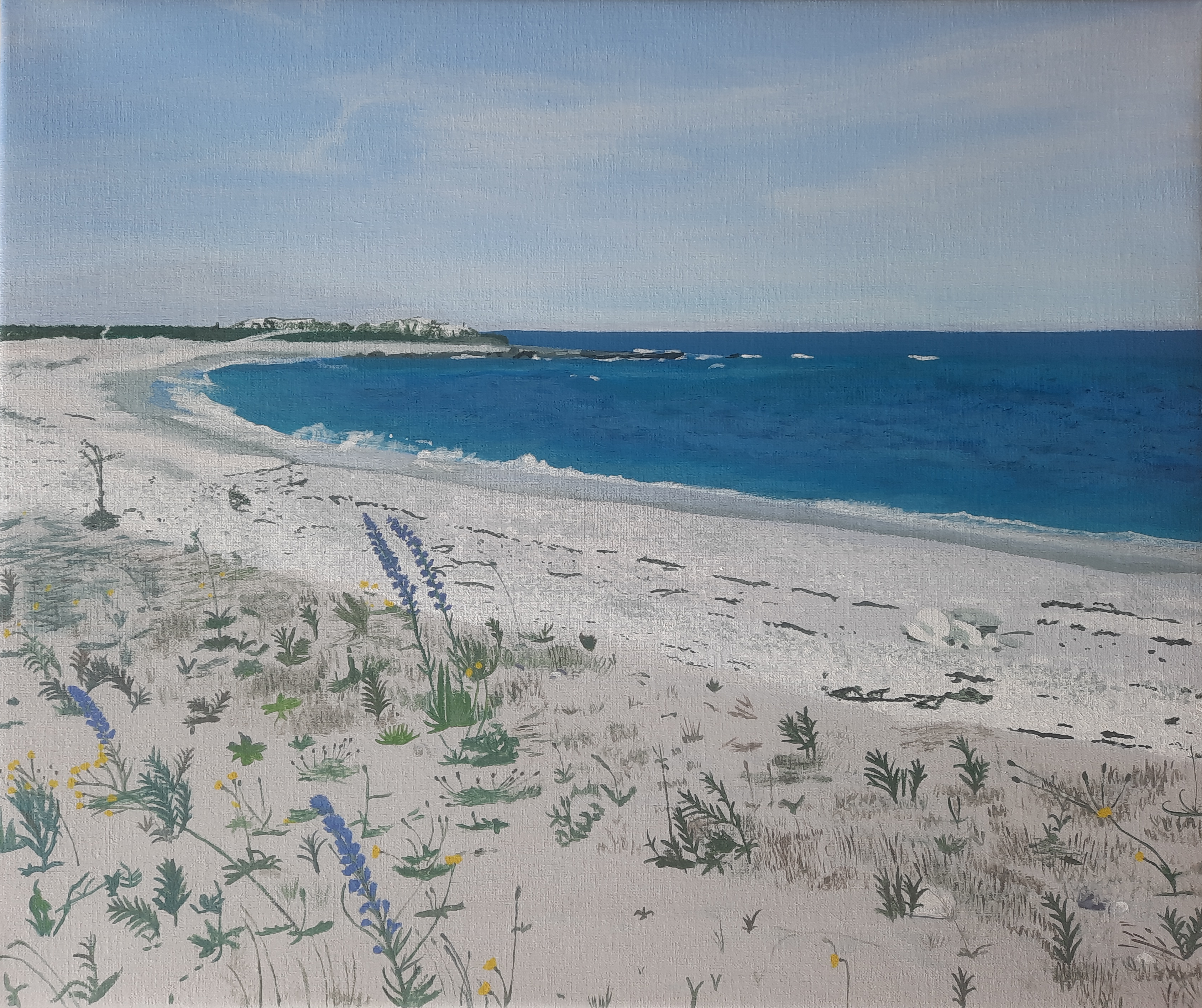 Gotländsk sandstrand